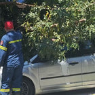 Ακραίοι άνεμοι στην Αττική: Δέντρο καταπλάκωσε όχημα με οδηγό εντός στη Μιχαλακοπούλου – Ριπές 124χλμ/ώρα